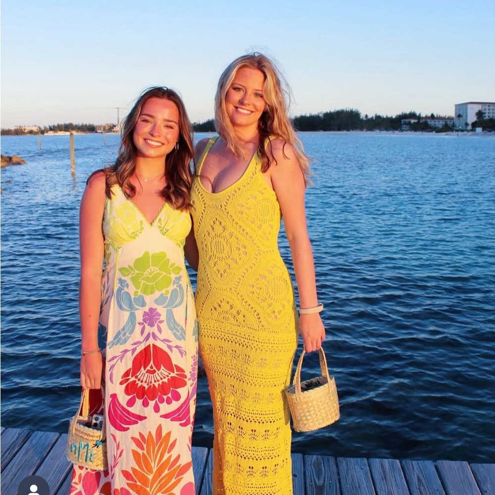 Alexis Gence Dress
